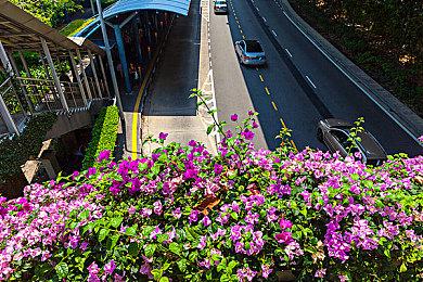 《合金装备3：重制版》本打算只进行一下画质升级